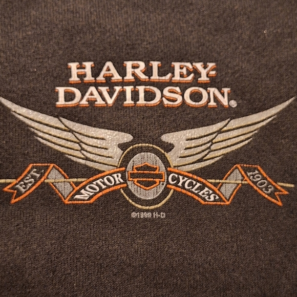 Vintage 1990s Harley-Davidson Motorcycle Logo Illinois Sweatshirt Long Sleeve - Picture 5 of 13